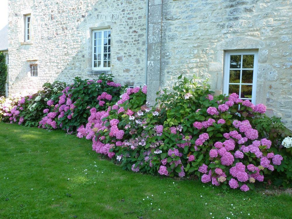 Manoir De Savigny Bed and Breakfast Valognes Eksteriør billede